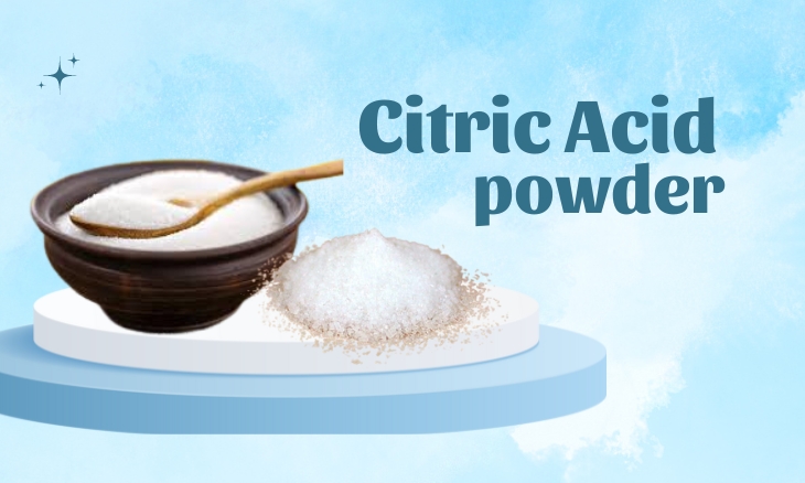 Citric Acid Powder Manufacturer in Madhya Pradesh