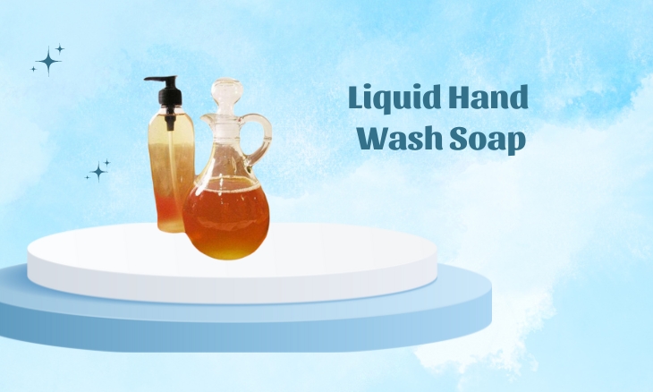 Liquid Hand Wash Soap Manufacturer in Madhya Pradesh