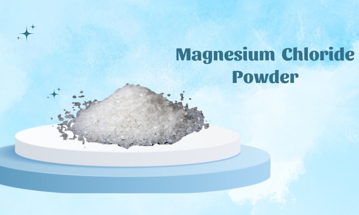 Magnesium Chloride Powder Manufacturer in Madhya Pradesh